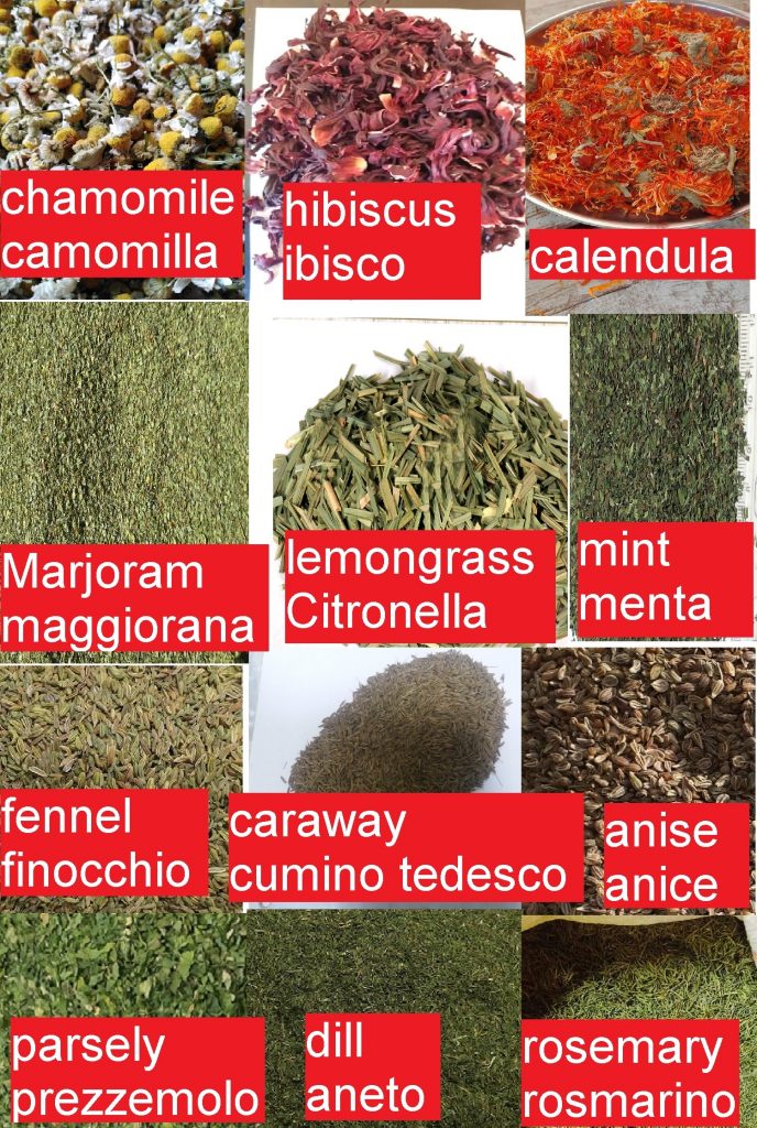we offer wide range of Egyptian herbs very high quality